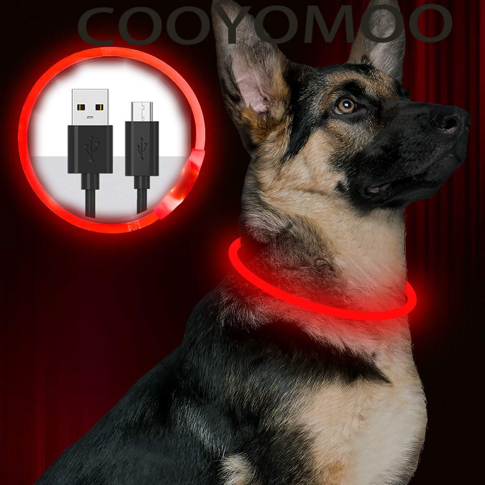 Tech Dog Accessories - Kalung Anjing LED Silikon Dapat Diisi