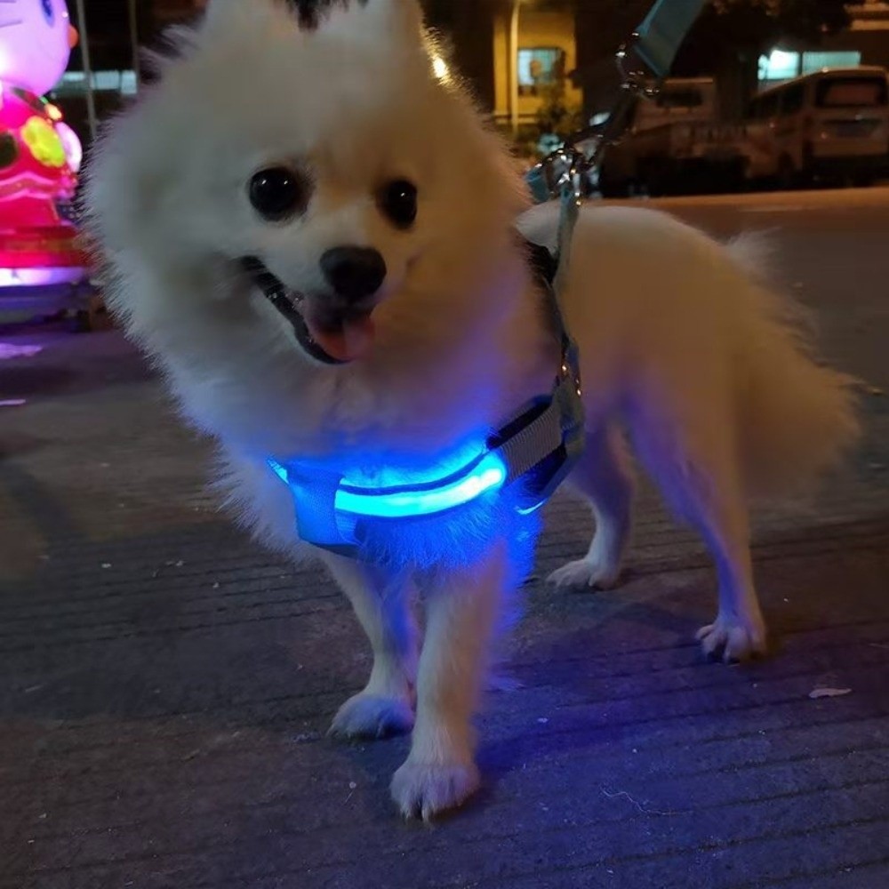Tech Dog Accessories - Harness Anjing LED Bernapas, Menyala, Dapat