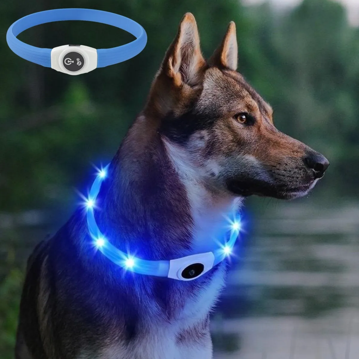 Tech Dog Accessories - Baru Led bercahaya kerah anjing PVC