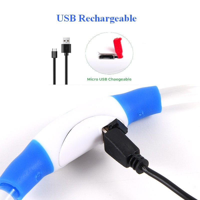 Kerah anjing LED isi ulang day - Tech Dog Accessories ulasan dan harga