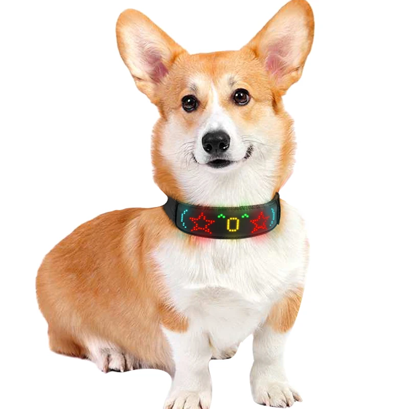 Kalung anjing LED hewan peliha - Tech Dog Accessories ulasan dan harga