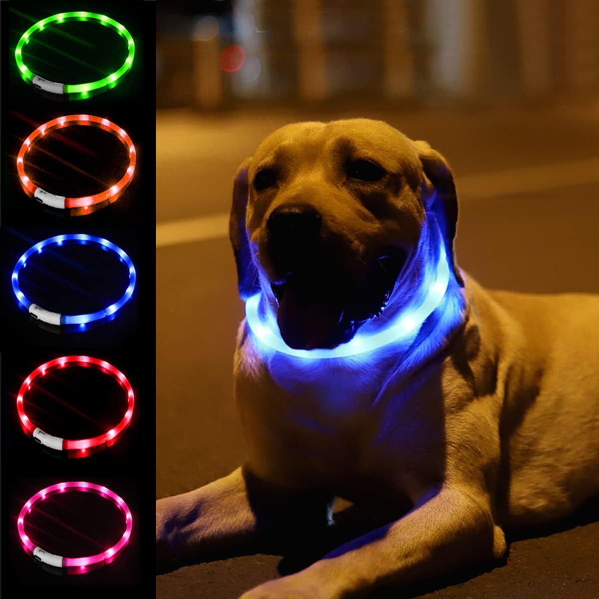 Kerah anjing LED silikon, bers - Tech Dog Accessories ulasan dan harga