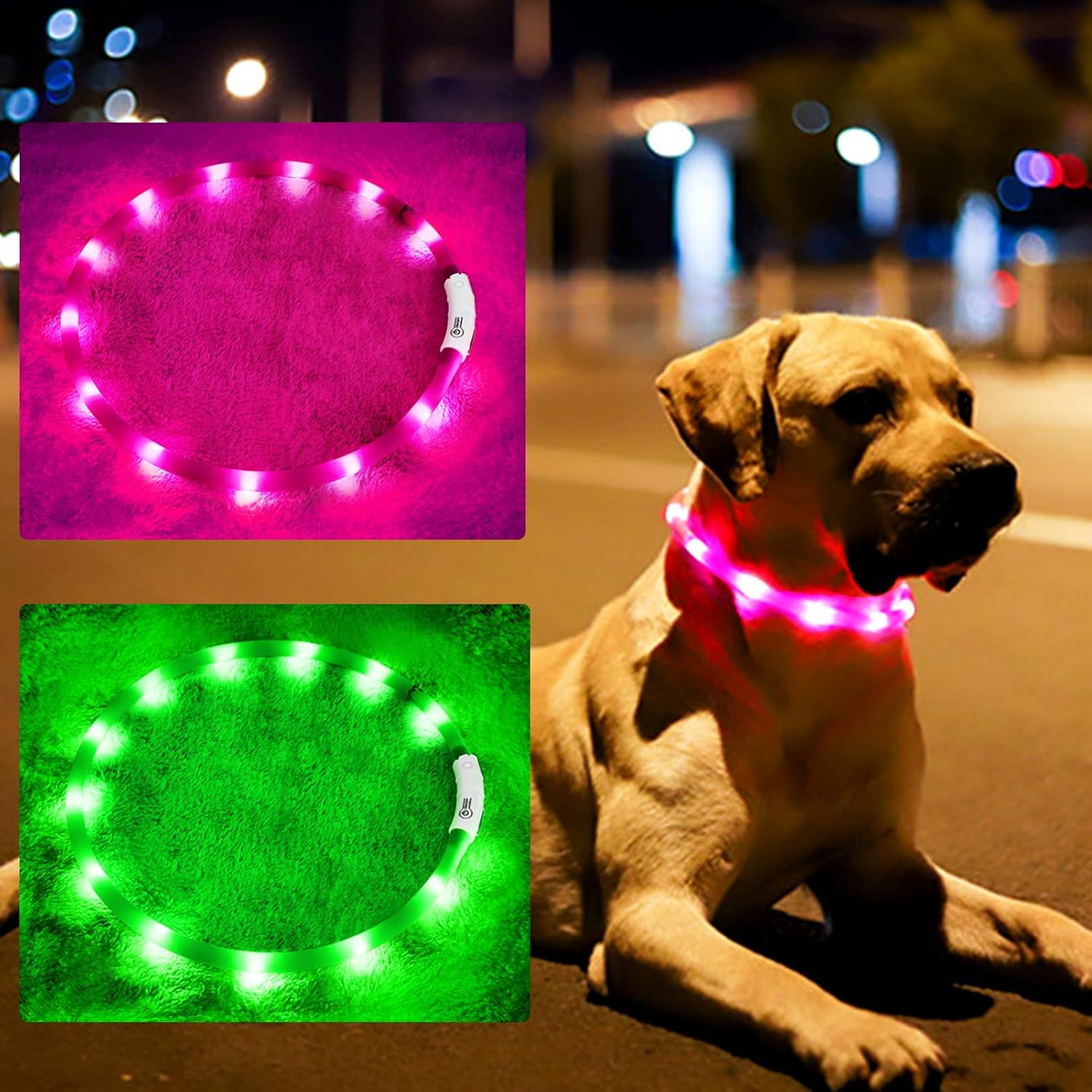 Kerah anjing LED silikon, bers - Tech Dog Accessories ulasan dan harga