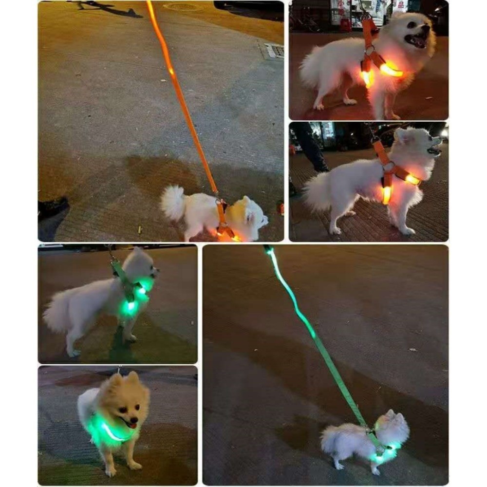 Harness Anjing LED Bernapas, M - Tech Dog Accessories ulasan dan harga