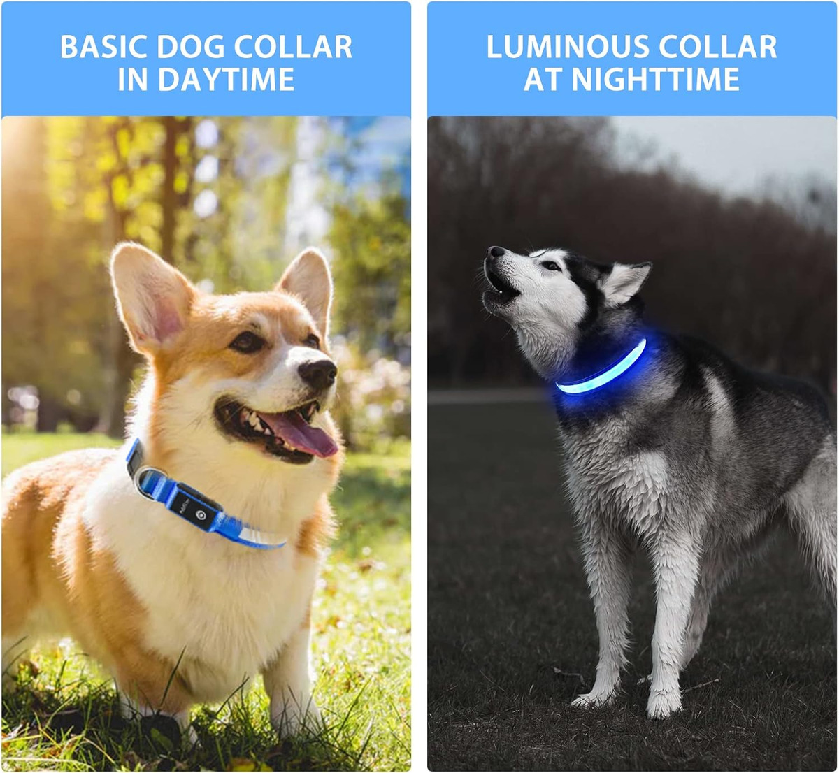 Lampu Kalung Anjing LED USB -  - Tech Dog Accessories ulasan dan harga