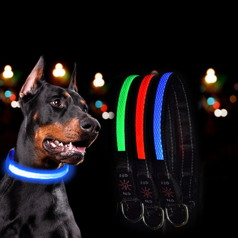 Lampu Kalung Anjing LED USB -  - Tech Dog Accessories ulasan dan harga