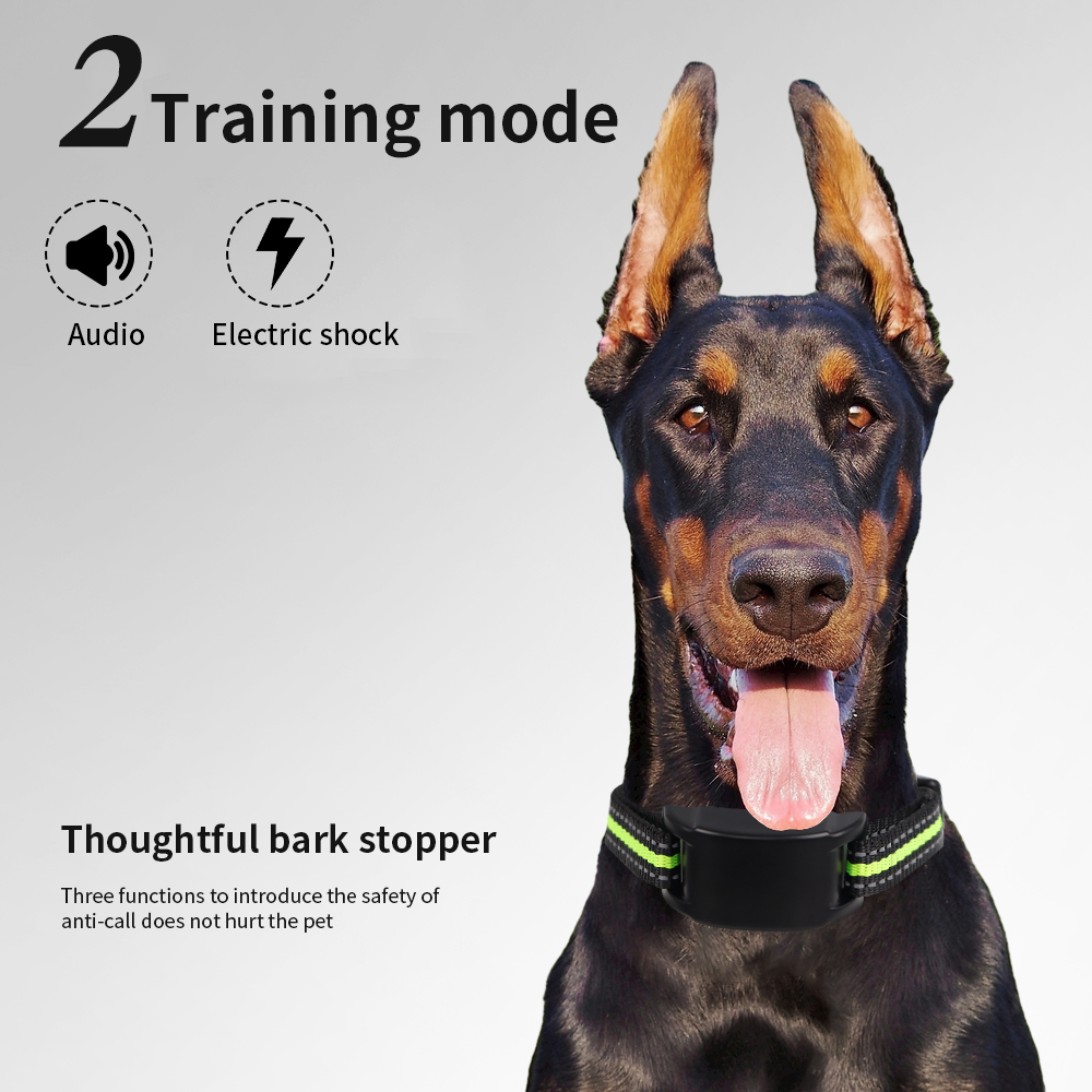 Kerah Anjing Anti Gonggong den - Tech Dog Accessories ulasan dan harga