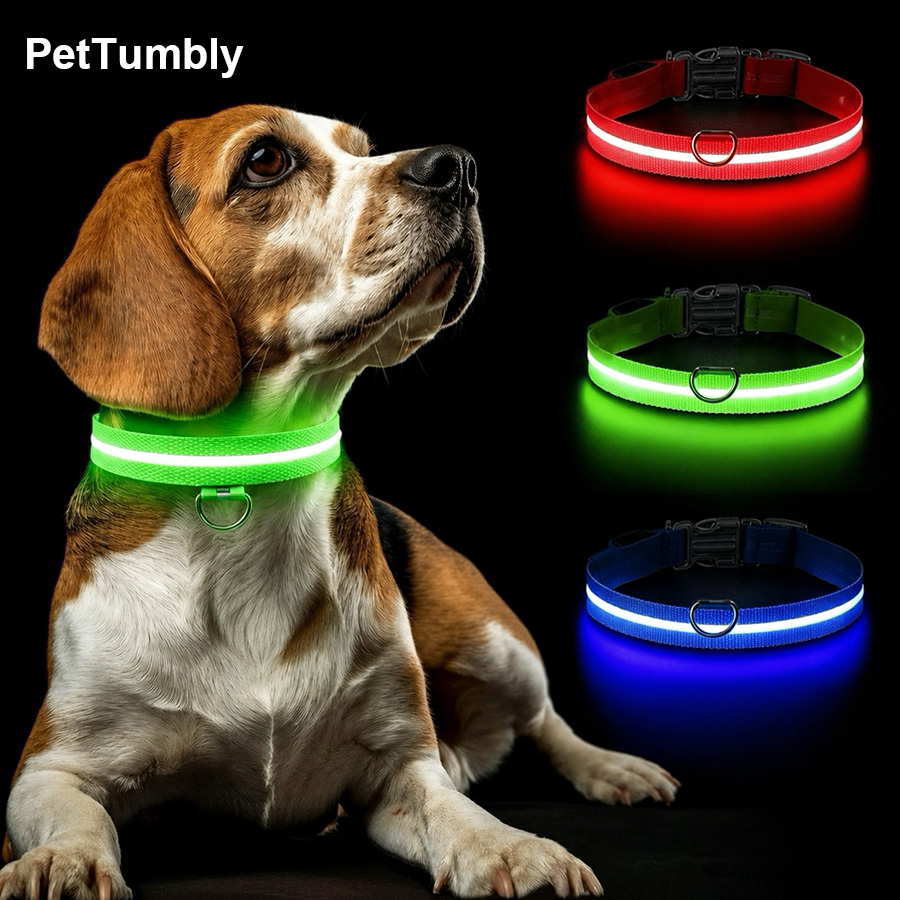 3 Mode Kalung Anjing Bercahaya - Tech Dog Accessories ulasan dan harga