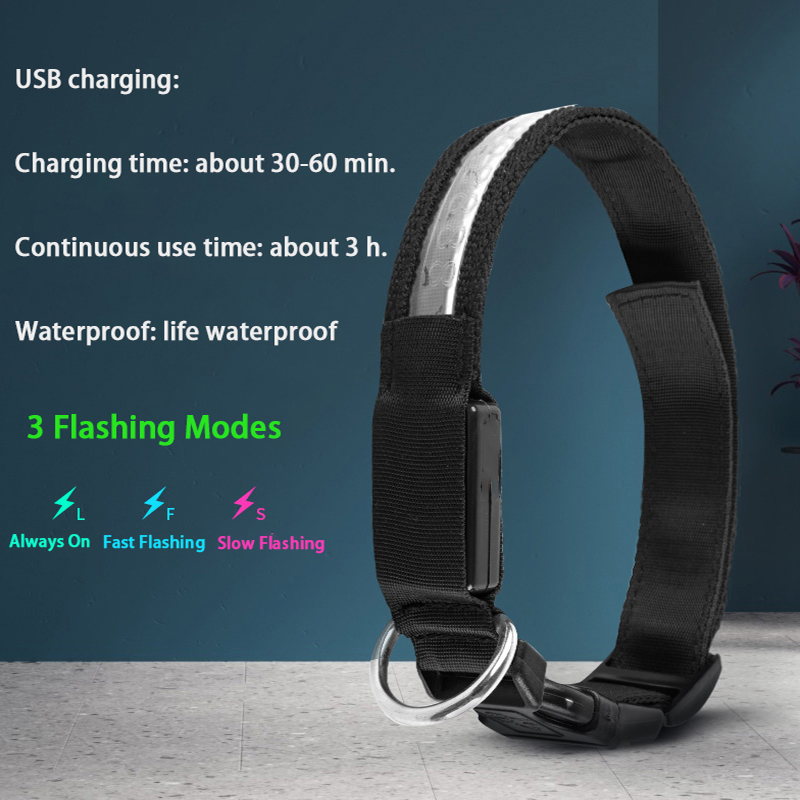 Kalung Anjing LED ID Terukir K - Tech Dog Accessories ulasan dan harga