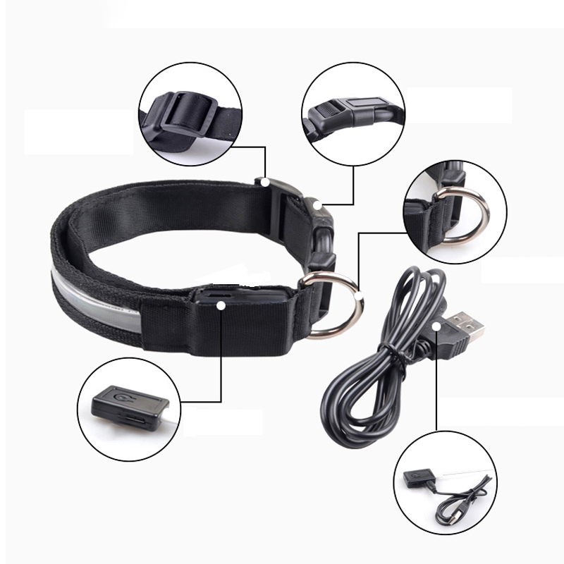 Kalung Anjing LED ID Terukir K - Tech Dog Accessories ulasan dan harga